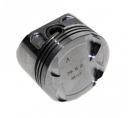 Поршни Ларгус 79,5 "D" СТК с пальцами 16-кл.