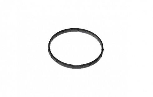Прокладка термостата TOYOTA 1632631020
