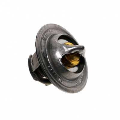 Термостат WAHLER 3017.92D2
