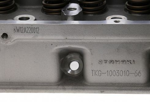 Головка цилиндров ДВС 4216 3302 Бизнес ЕВРО-3 (ГБО) TANAKI
