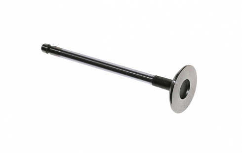 Клапан впускной ДВС PATRON Клапан ДВС PATRON впускной PV1169 accent 12v